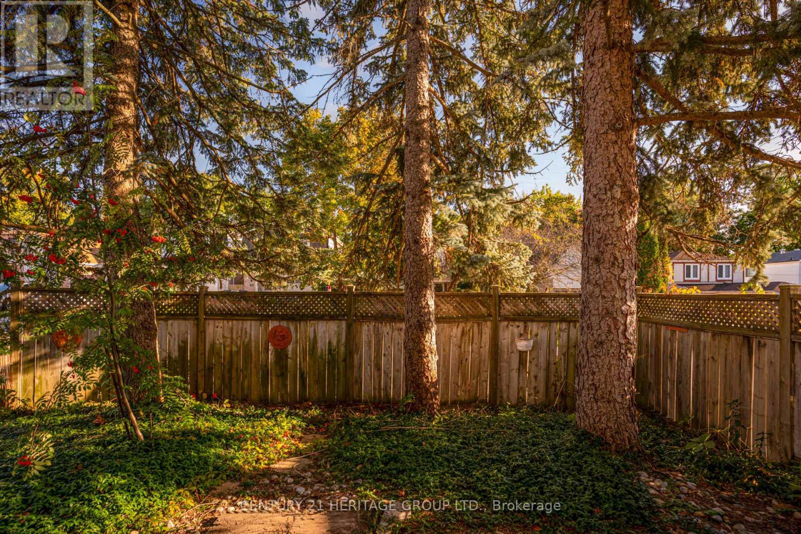 729 Beman Drive, Newmarket, Ontario  L3Y 4Z3 - Photo 35 - N12538538