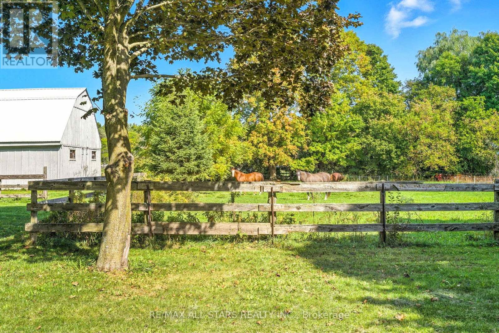 341 Feasby Road, Uxbridge, Ontario  L9P 1R1 - Photo 12 - N12538552