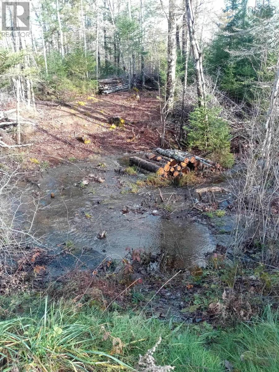 Mcmullin Road, Antrim, Nova Scotia  B0N 1Y0 - Photo 5 - 202527687
