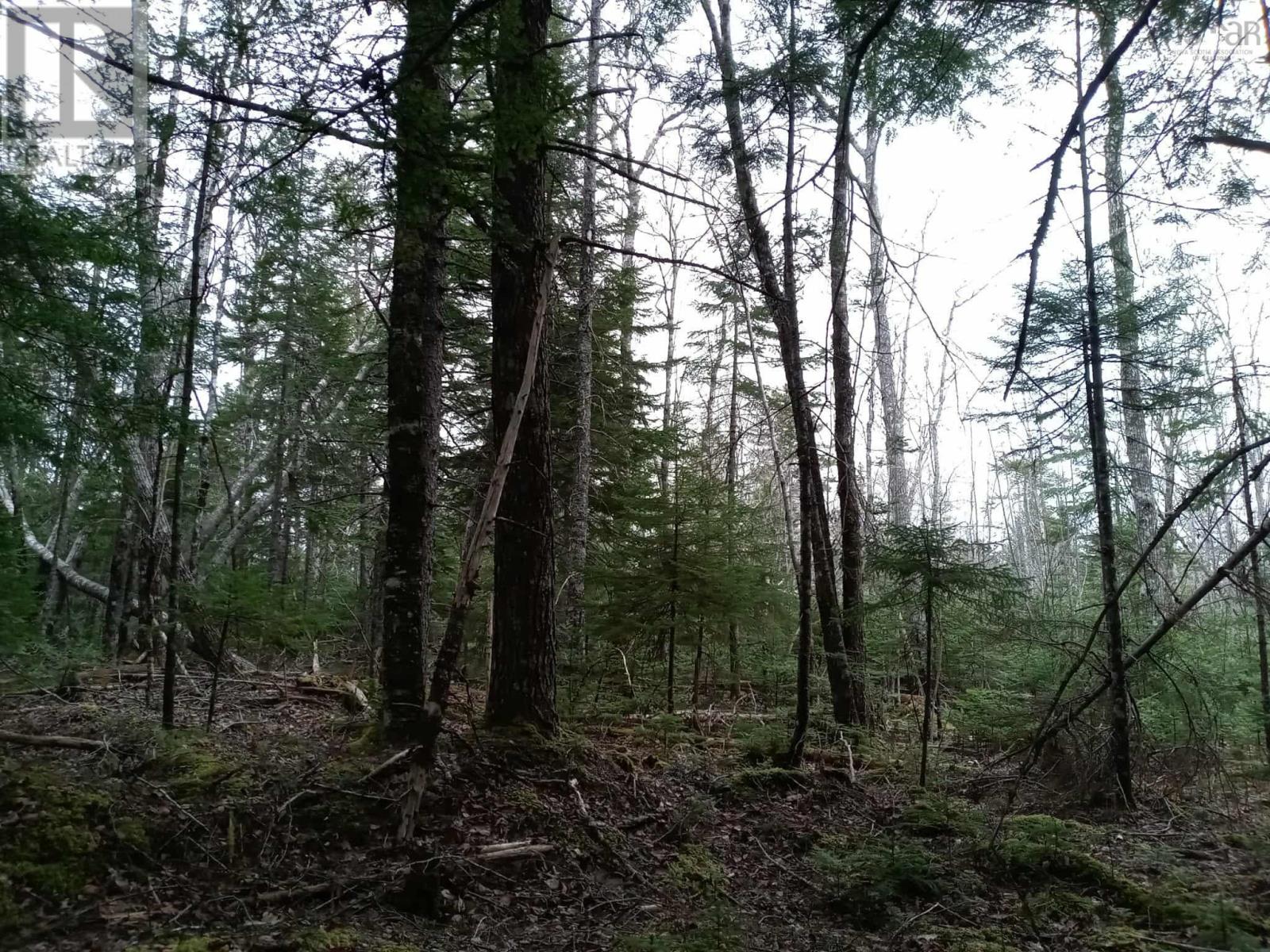 Mcmullin Road, Antrim, Nova Scotia  B0N 1Y0 - Photo 3 - 202527687