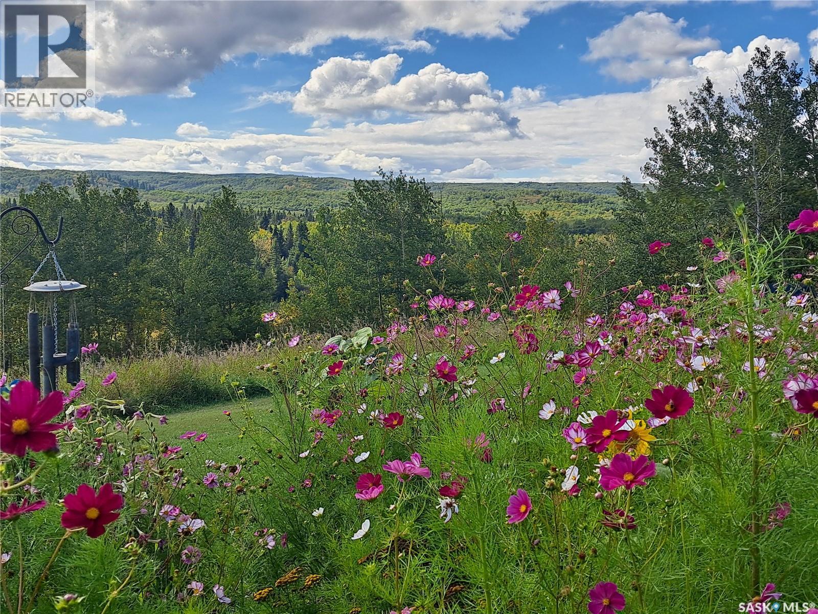 D 'amour Lot 24, Leask Rm No. 464, Saskatchewan  S0J 1M0 - Photo 39 - SK023934