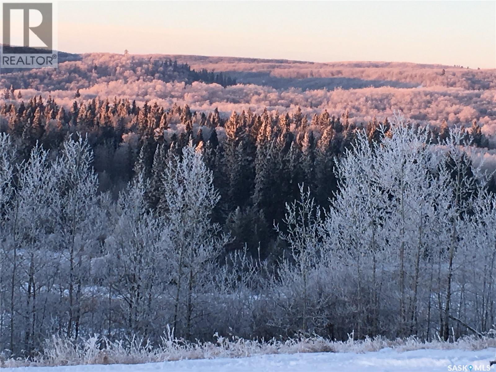 D 'amour Lot 24, Leask Rm No. 464, Saskatchewan  S0J 1M0 - Photo 45 - SK023934