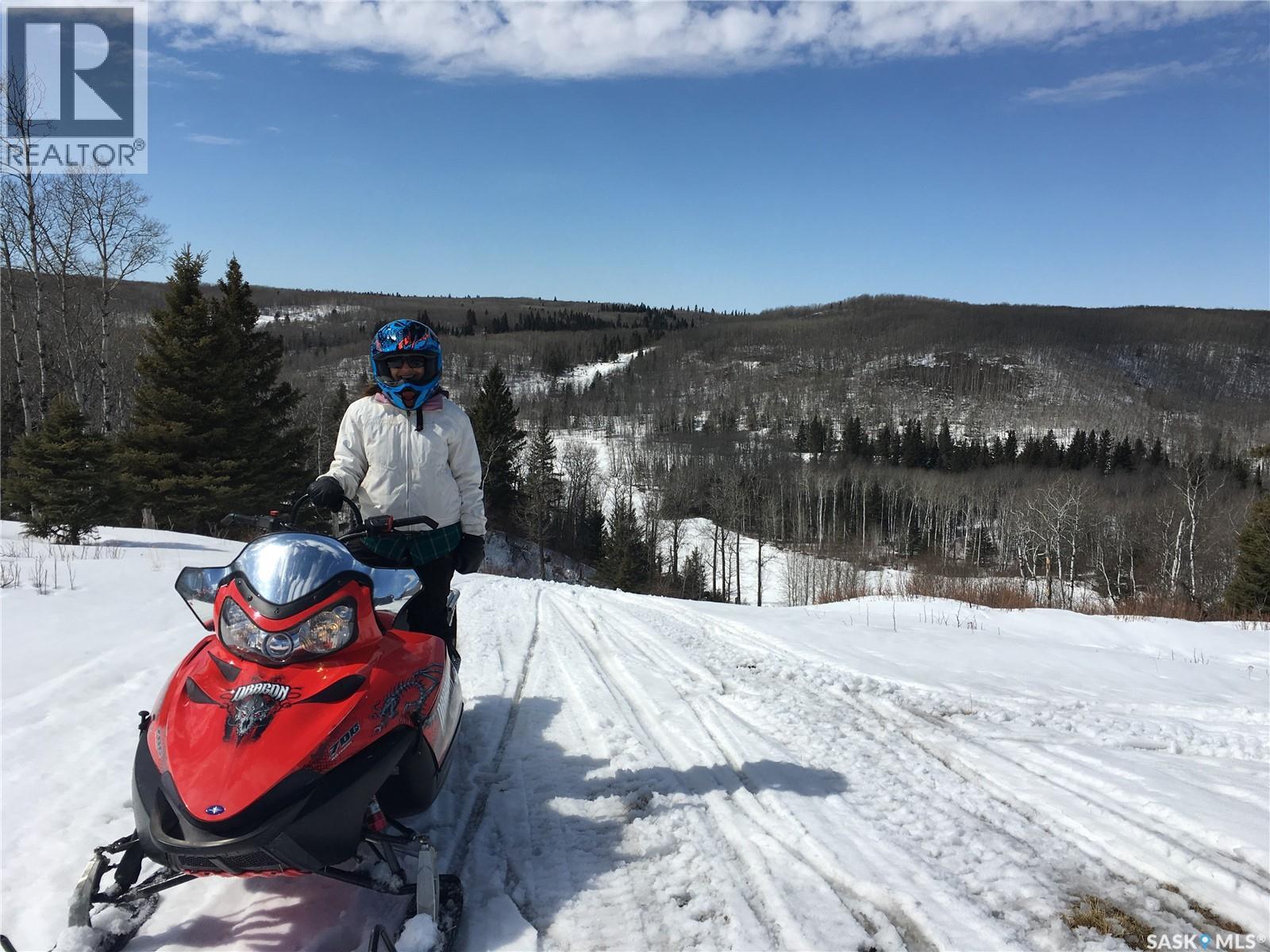 D 'amour Lot 24, Leask Rm No. 464, Saskatchewan  S0J 1M0 - Photo 46 - SK023934