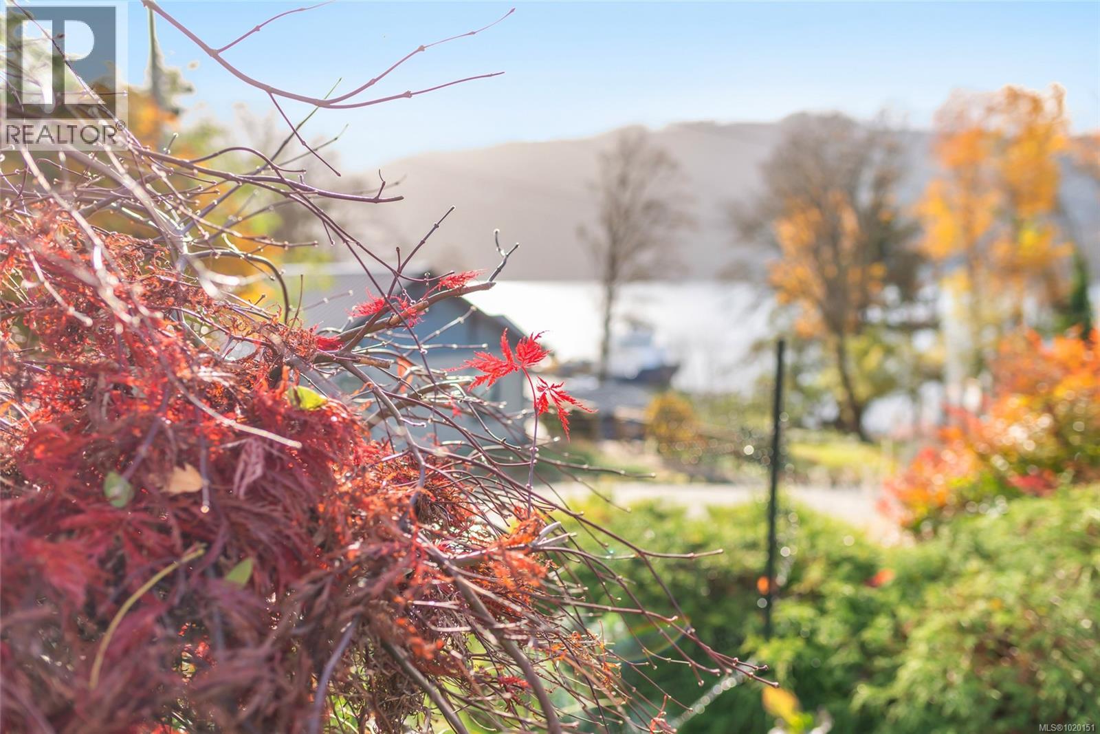 5213 Mar St, Port Alberni, British Columbia  V9Y 7T9 - Photo 22 - 1020151