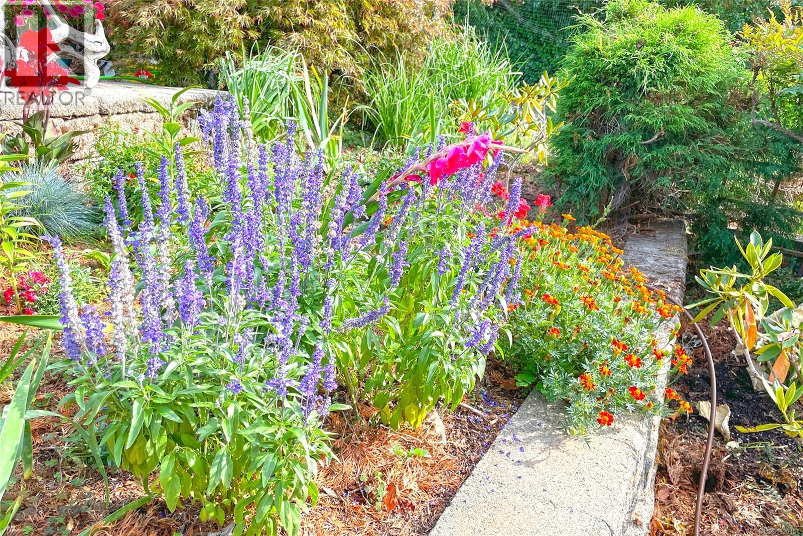 5213 Mar St, Port Alberni, British Columbia  V9Y 7T9 - Photo 24 - 1020151