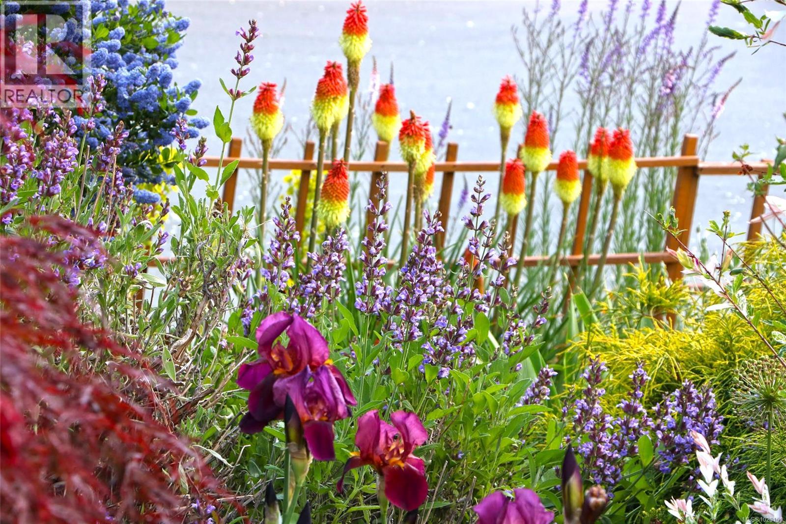 5213 Mar St, Port Alberni, British Columbia  V9Y 7T9 - Photo 25 - 1020151