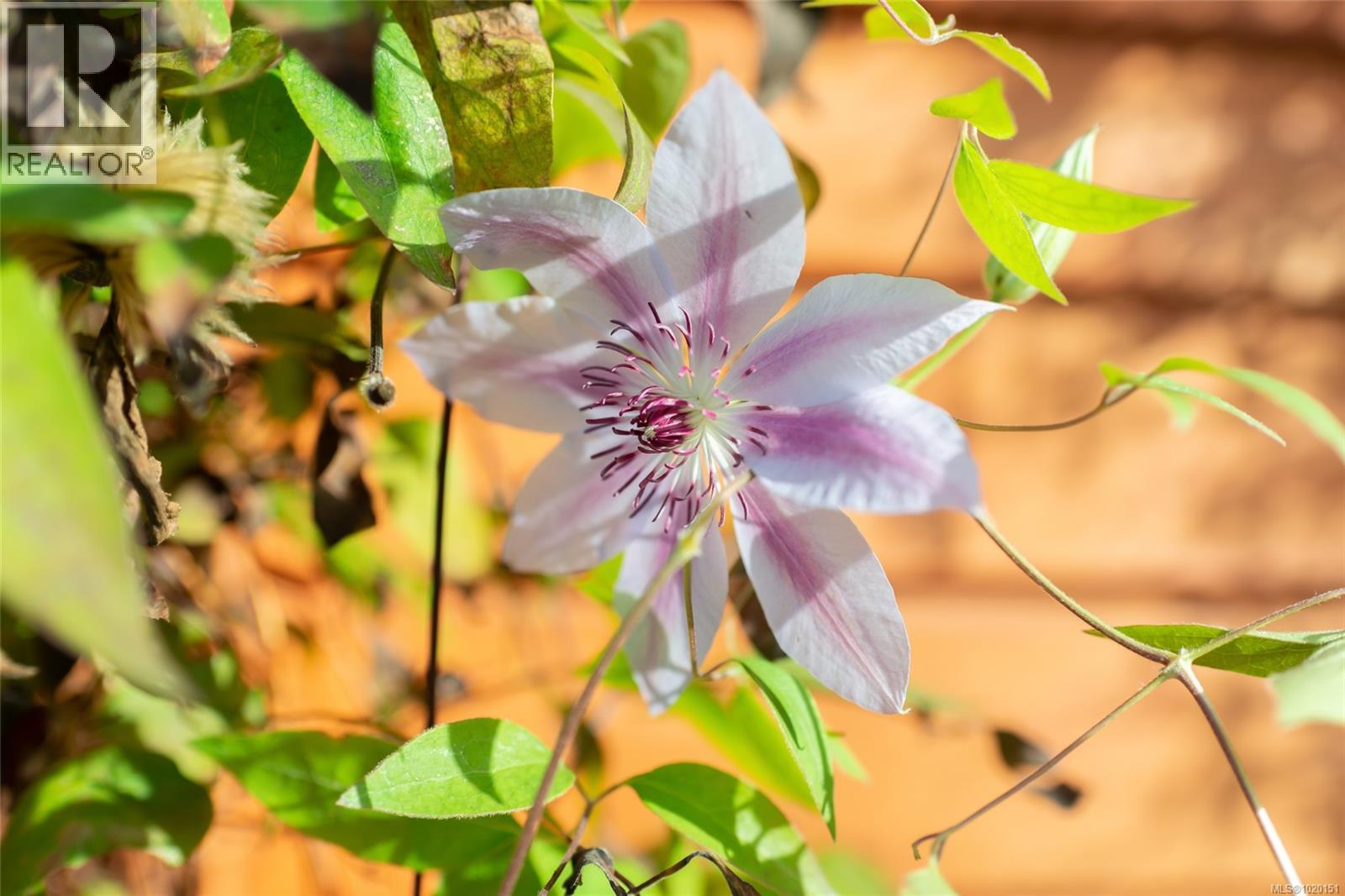 5213 Mar St, Port Alberni, British Columbia  V9Y 7T9 - Photo 31 - 1020151