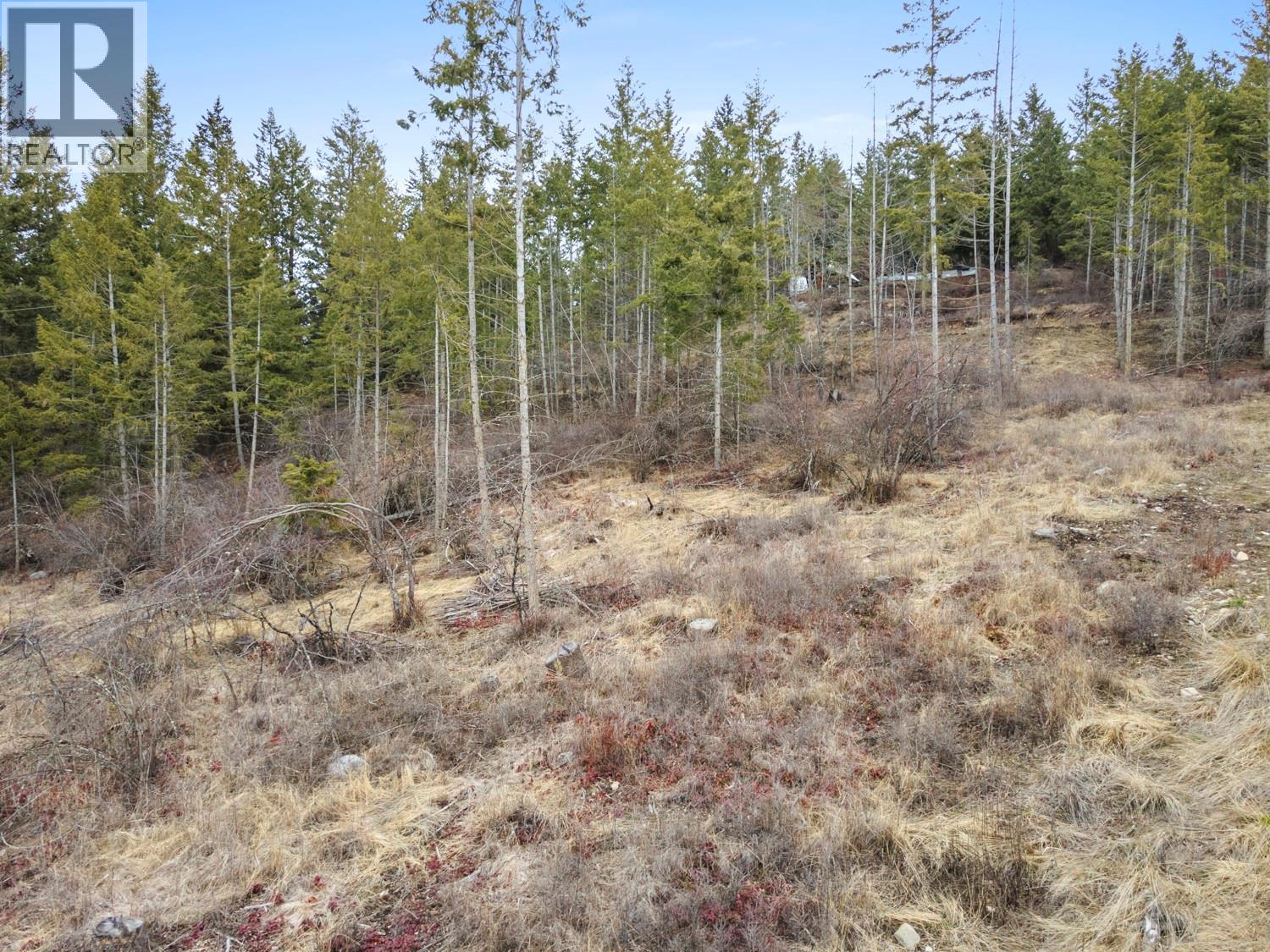 3596 Phillips Road, Lister, British Columbia  V0B 1G6 - Photo 9 - 10369004