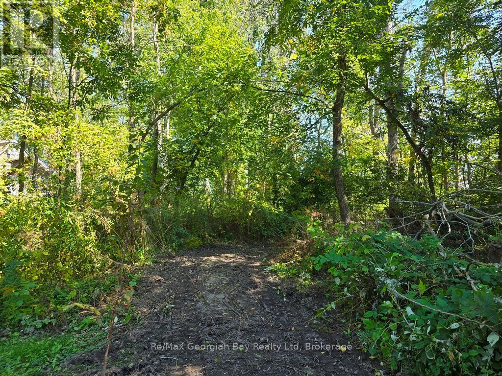 72 Coldwater Road, Severn, Ontario  L0K 1E0 - Photo 14 - S12538882