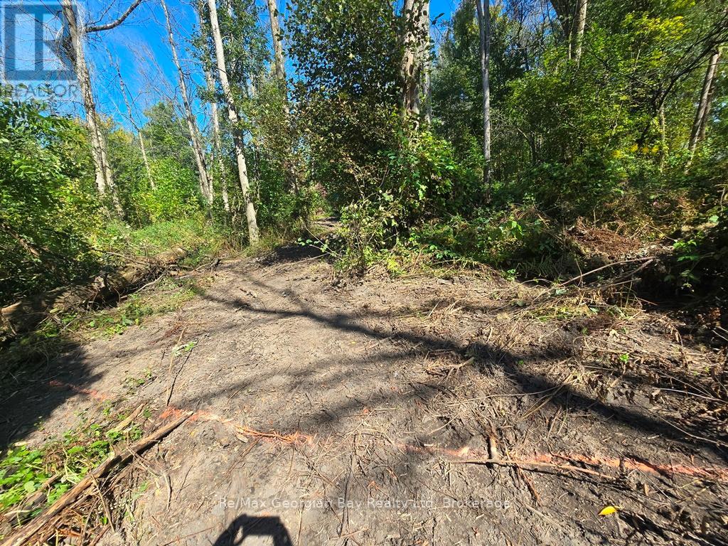 72 Coldwater Road, Severn, Ontario  L0K 1E0 - Photo 18 - S12538882