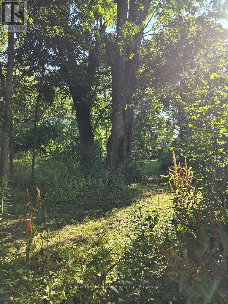 72 Coldwater Road, Severn, Ontario  L0K 1E0 - Photo 3 - S12538882