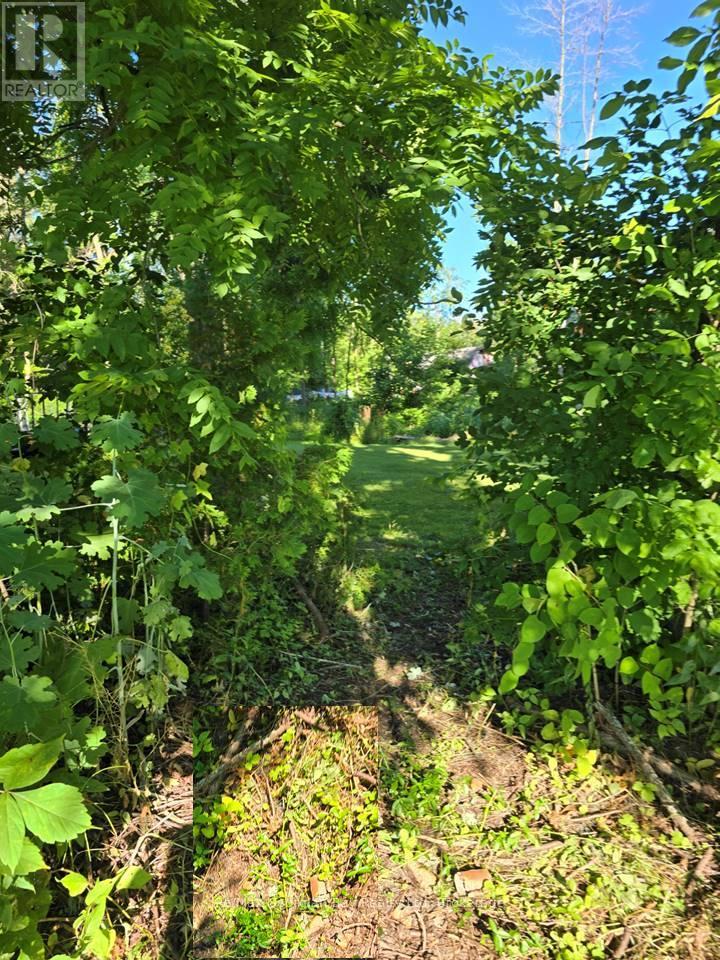 72 Coldwater Road, Severn, Ontario  L0K 1E0 - Photo 7 - S12538882