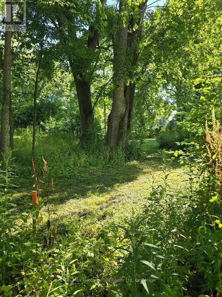 72 Coldwater Road, Severn, Ontario  L0K 1E0 - Photo 8 - S12538882