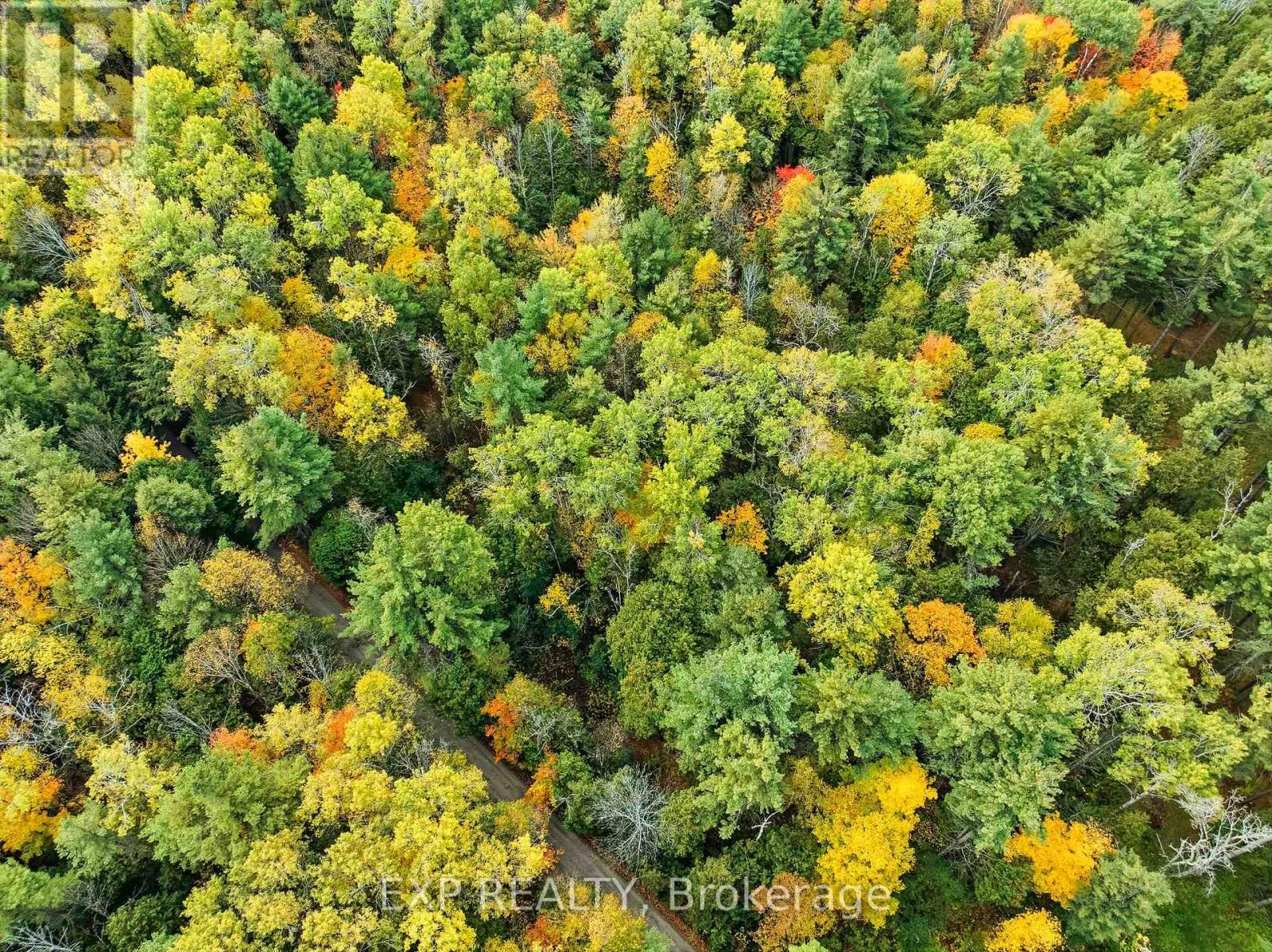 Pt Lt 4 Con 4 Pt 1 - Inglis Road, Alnwick/haldimand, Ontario  K0K 2G0 - Photo 8 - X12539020