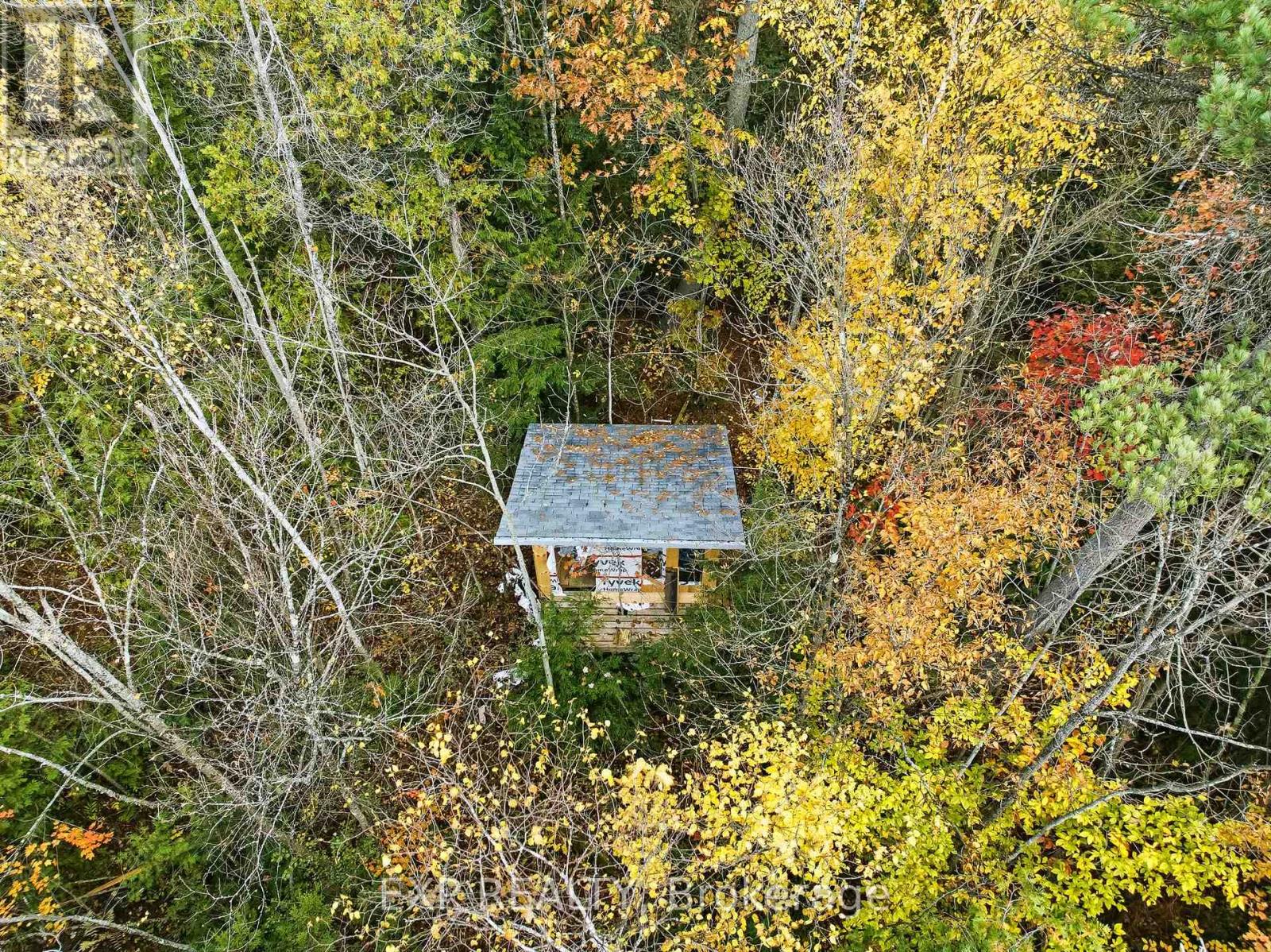 Pt Lt 4 Con 4 Pt 1 - Inglis Road, Alnwick/haldimand, Ontario  K0K 2G0 - Photo 9 - X12539020