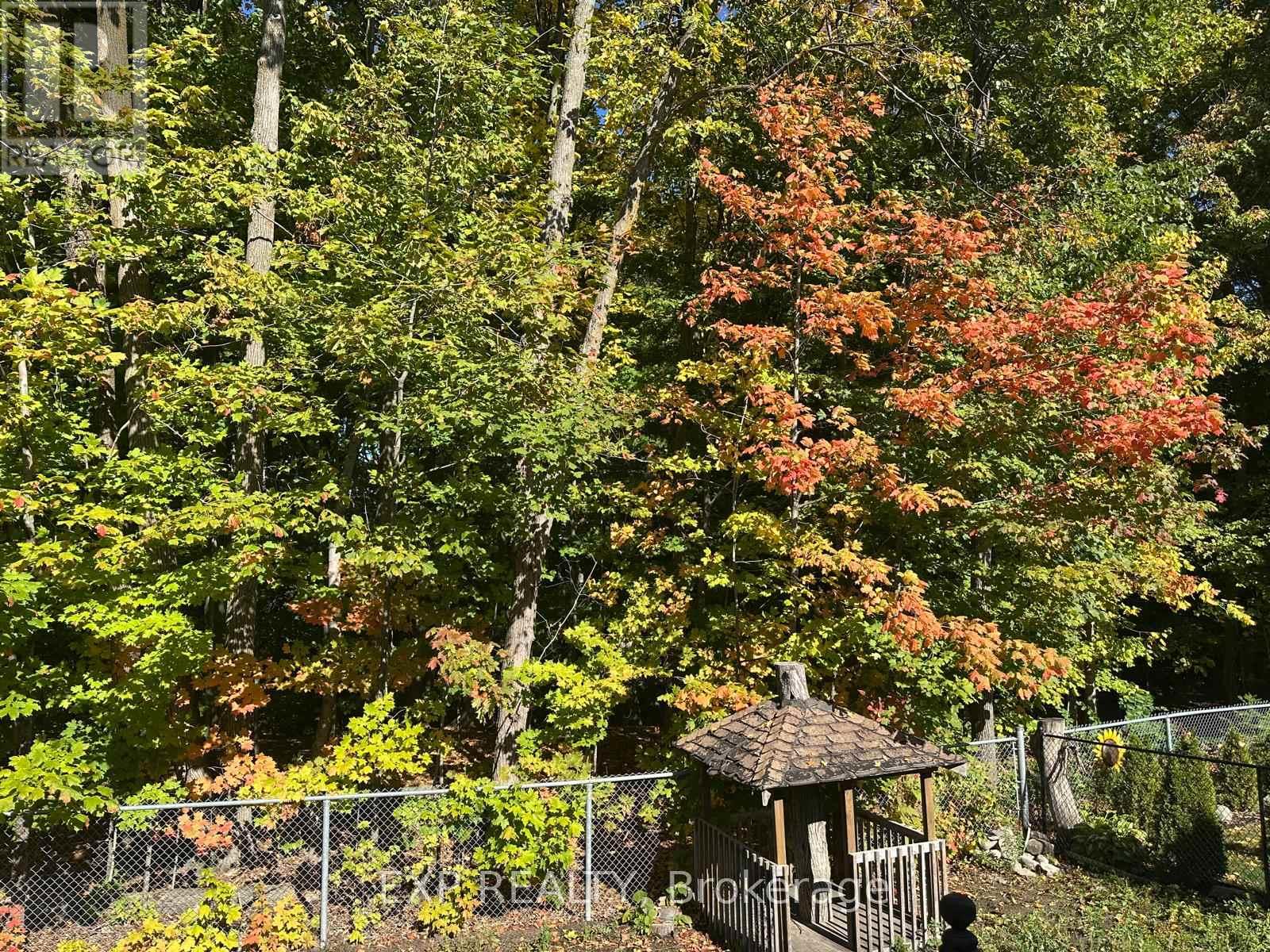 59 Maple Stand Way, Ottawa, Ontario K2G 6R4 - Photo 21 - X12539104