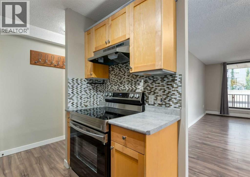 202, 1240 12 Avenue Sw, Calgary, Alberta  T3C 0P3 - Photo 11 - A2248567