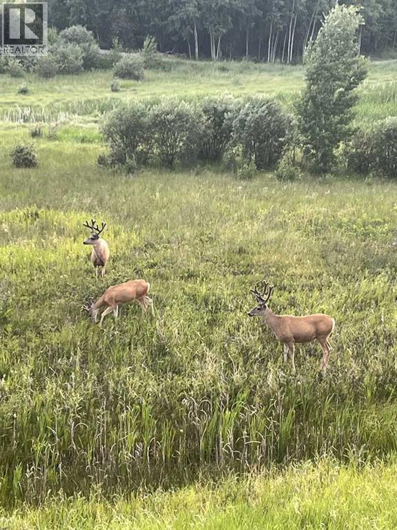 51 Fireside Terrace, Cochrane, Alberta  T4C 2T1 - Photo 41 - A2267726