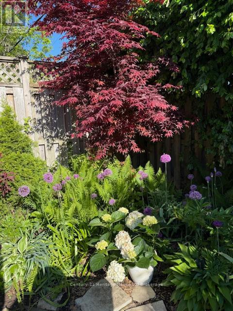 501 George Street, Woodstock, Ontario  N4S 4J3 - Photo 41 - X12514864