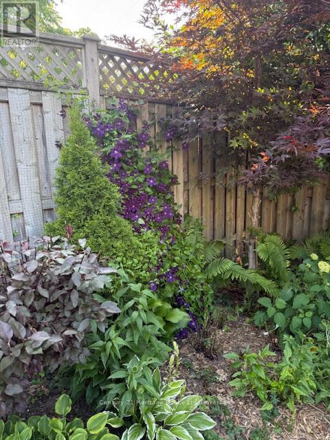 501 George Street, Woodstock, Ontario  N4S 4J3 - Photo 43 - X12514864