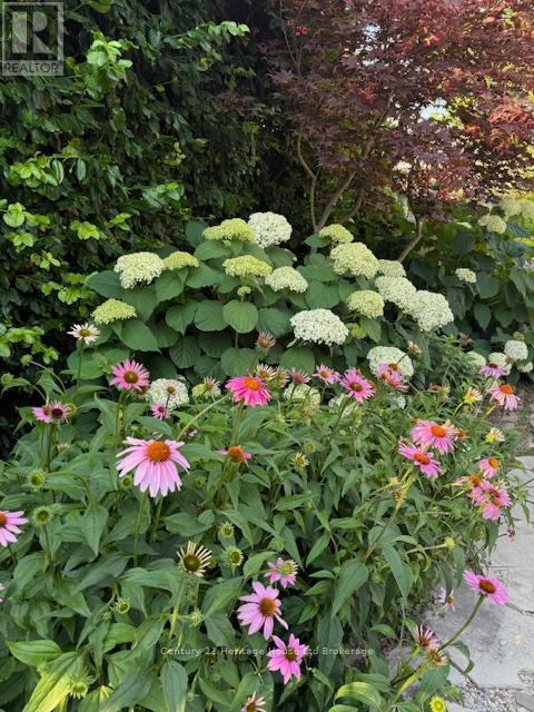 501 George Street, Woodstock, Ontario  N4S 4J3 - Photo 44 - X12514864