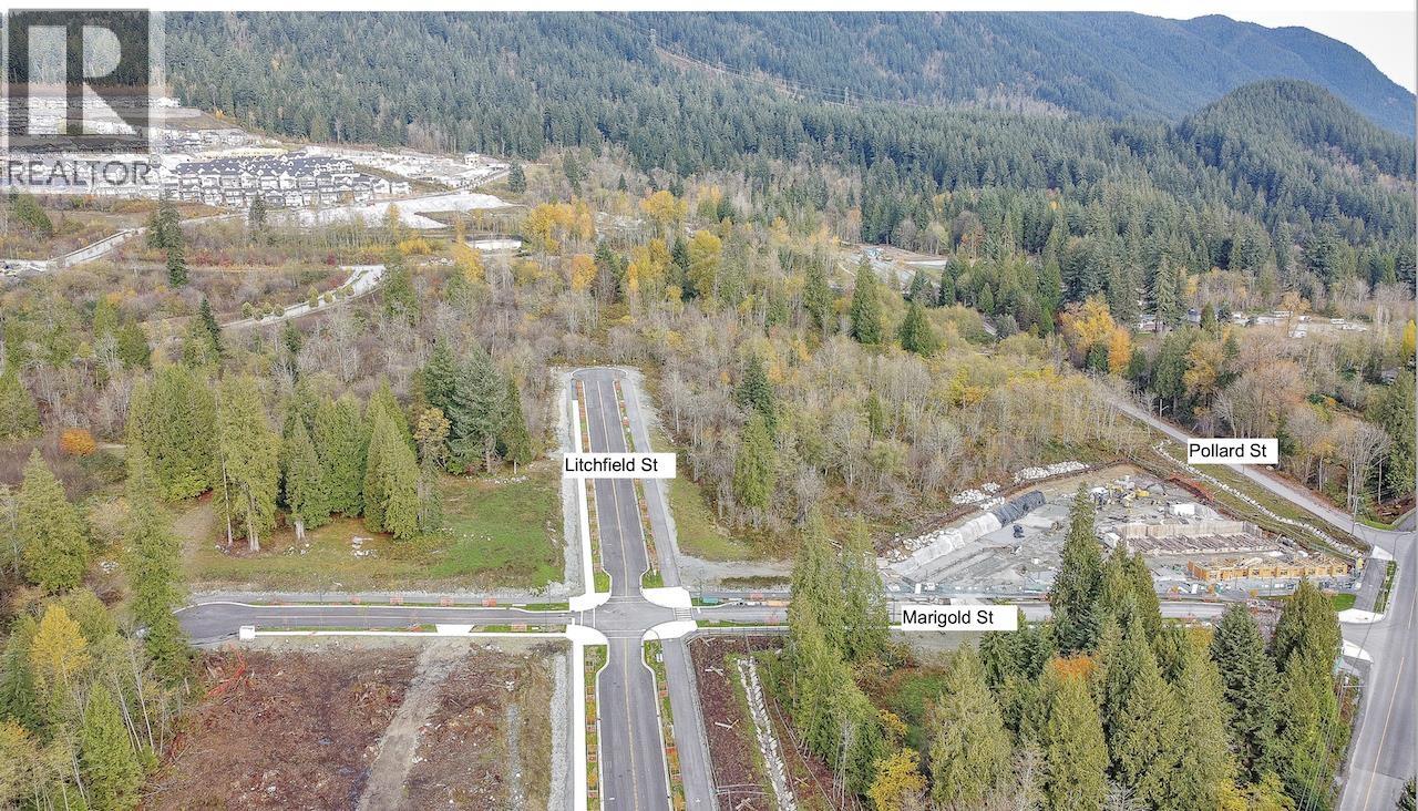 3620 Victoria Drive, Coquitlam, British Columbia  V3C 3V4 - Photo 6 - R3060029