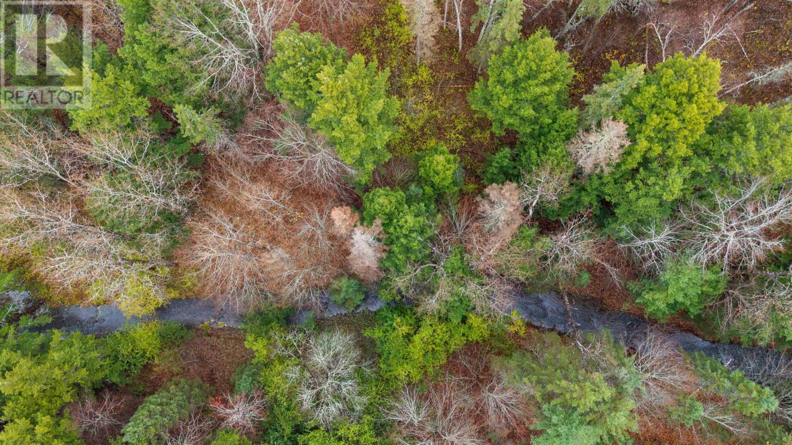 2510 Picken Street, Westville, Nova Scotia  B0K 2A0 - Photo 5 - 202527724