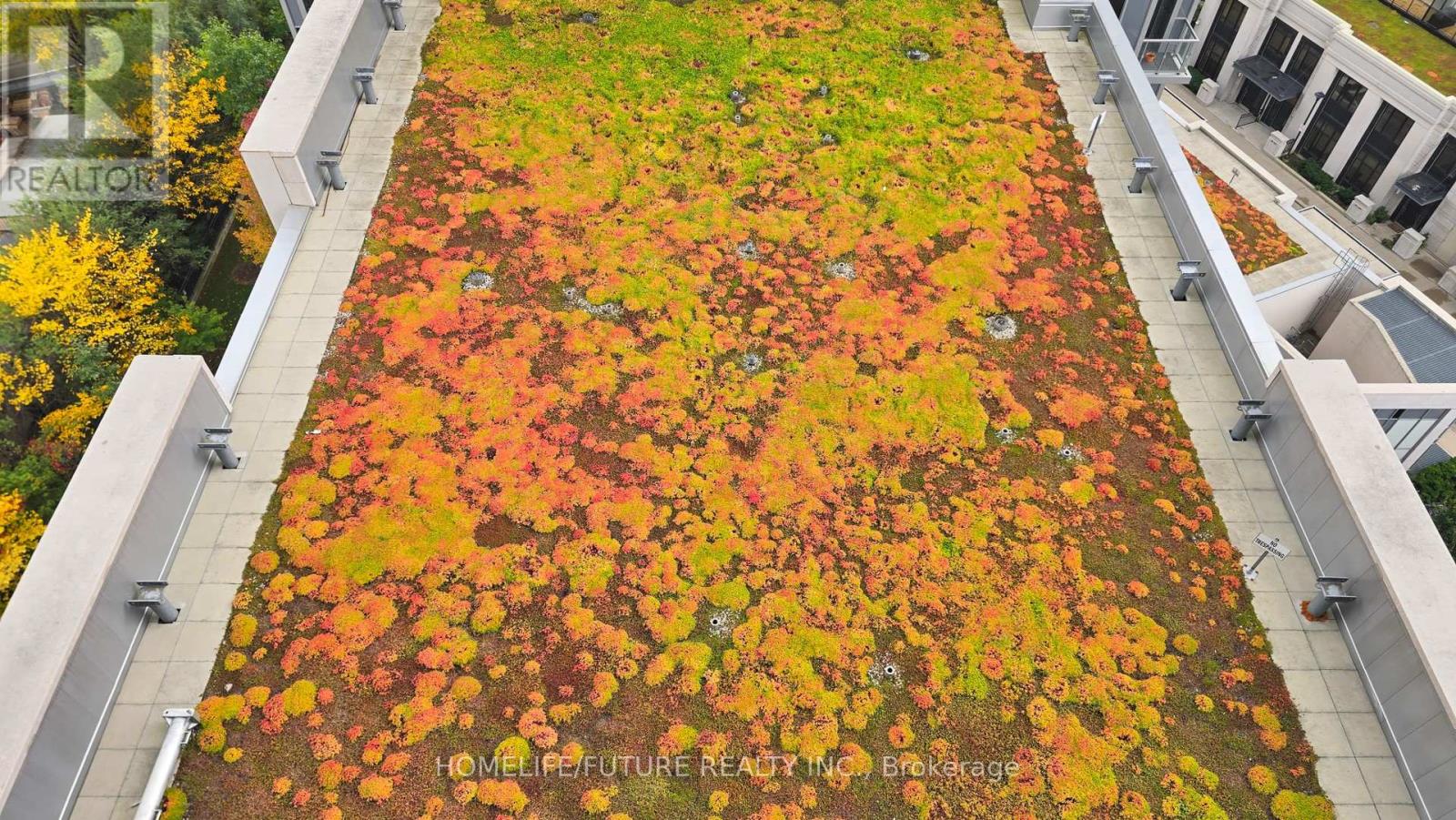 1331 - 120 Harrison Garden Boulevard, Toronto, Ontario  M2N 0H1 - Photo 31 - C12539282