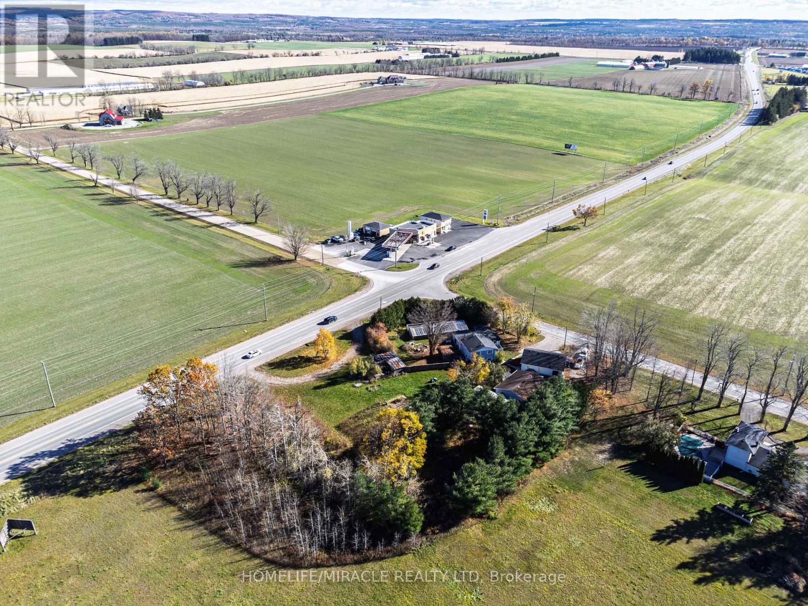 1008 Rainbow Valley Road, Springwater, Ontario  L0L 2K0 - Photo 19 - S12539236