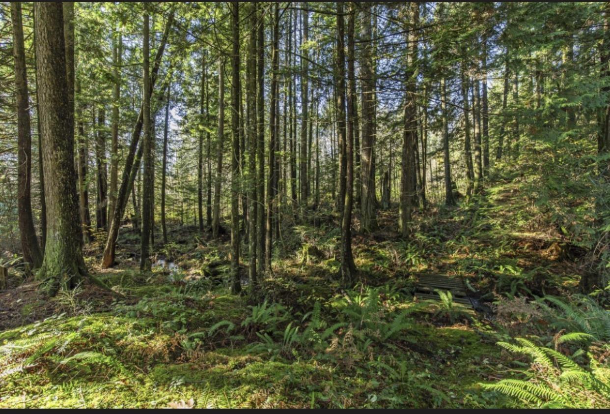 30317 Berg Avenue, Mission, British Columbia  V4S 1C8 - Photo 11 - R3065953