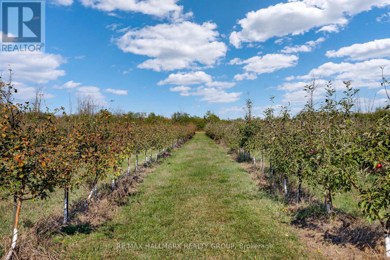 774 Kitley 2 Line, Elizabethtown-Kitley, Ontario  K0G 1G0 - Photo 37 - X12539332