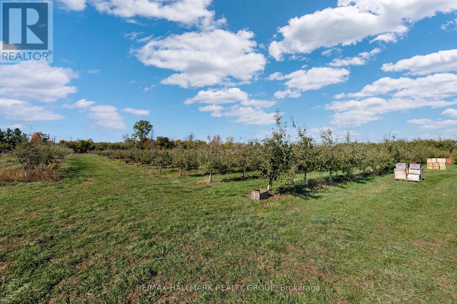 774 Kitley 2 Line, Elizabethtown-Kitley, Ontario  K0G 1G0 - Photo 38 - X12539332