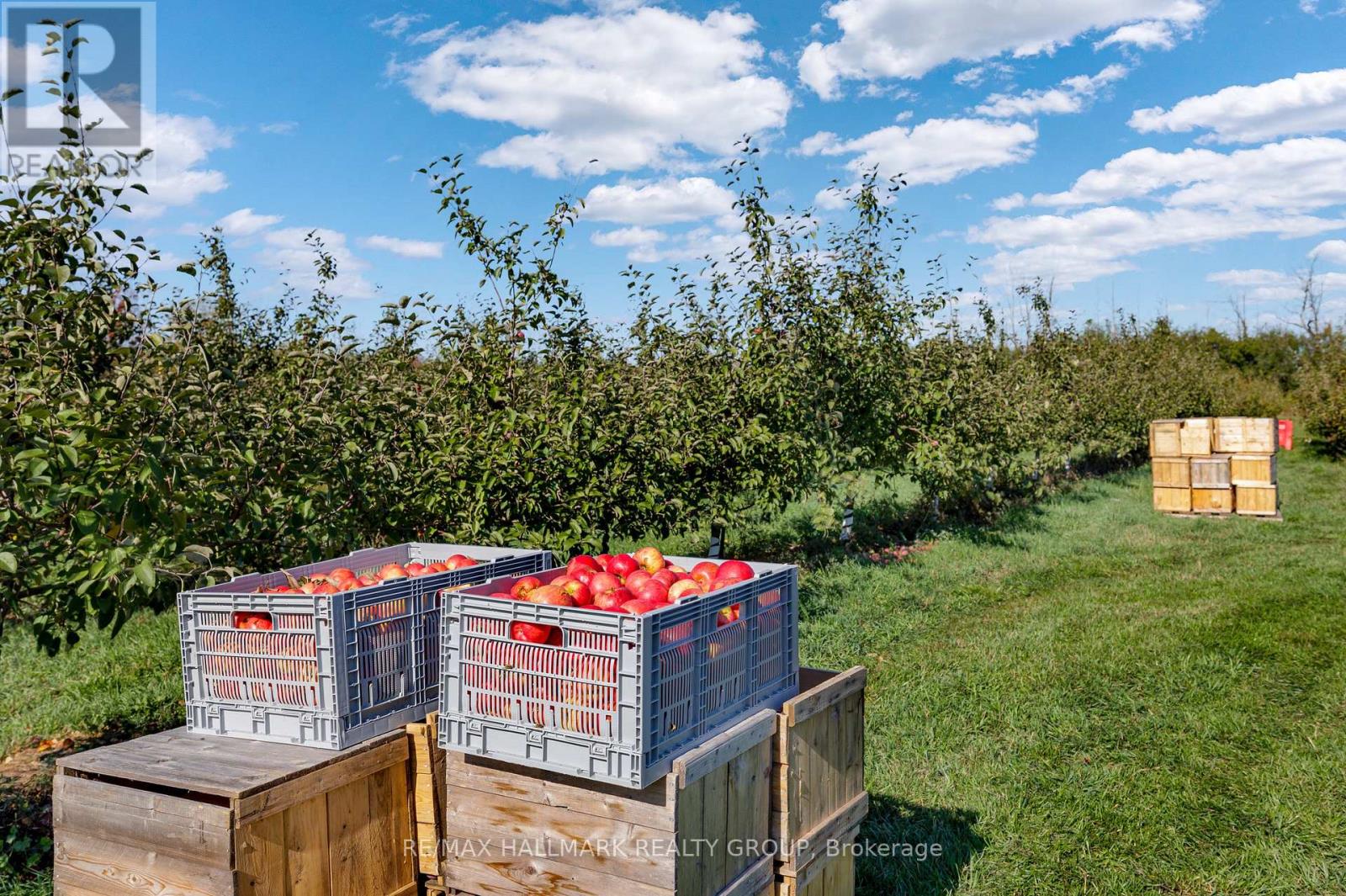 774 Kitley 2 Line, Elizabethtown-Kitley, Ontario  K0G 1G0 - Photo 39 - X12539332