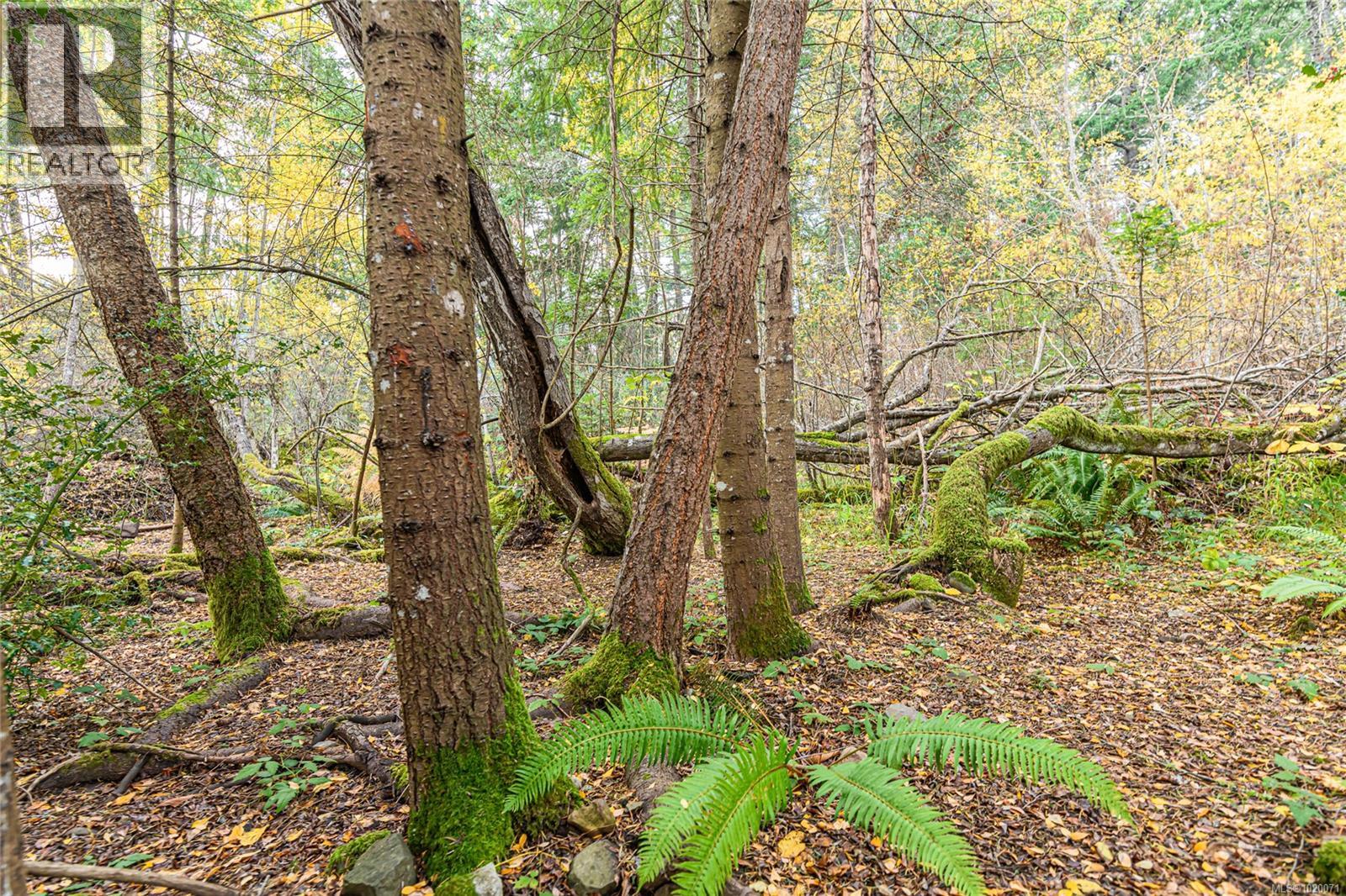 210 Epron Rd, Salt Spring, British Columbia  V8K 1C7 - Photo 44 - 1020071