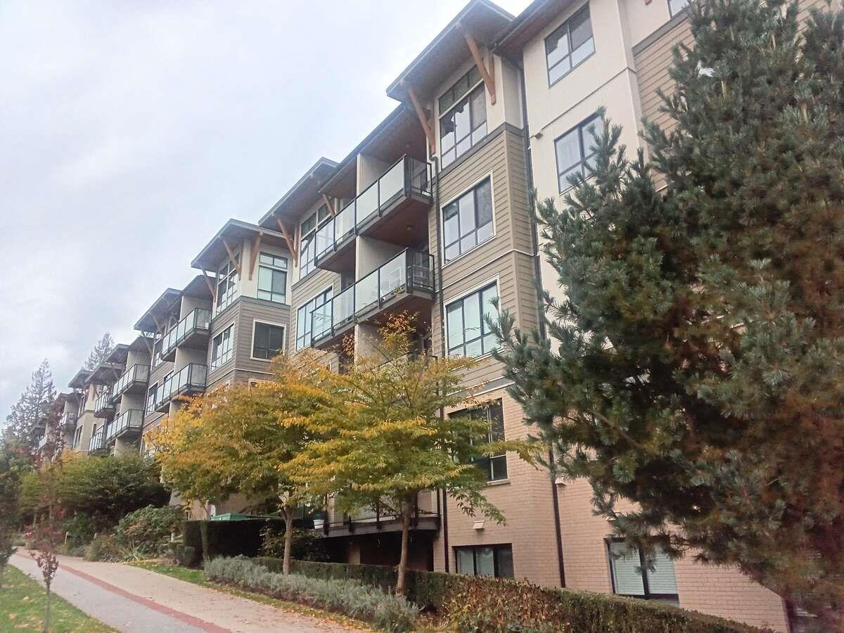 205 15388 105 Avenue, Surrey, British Columbia  V3R 0C4 - Photo 17 - R3066952
