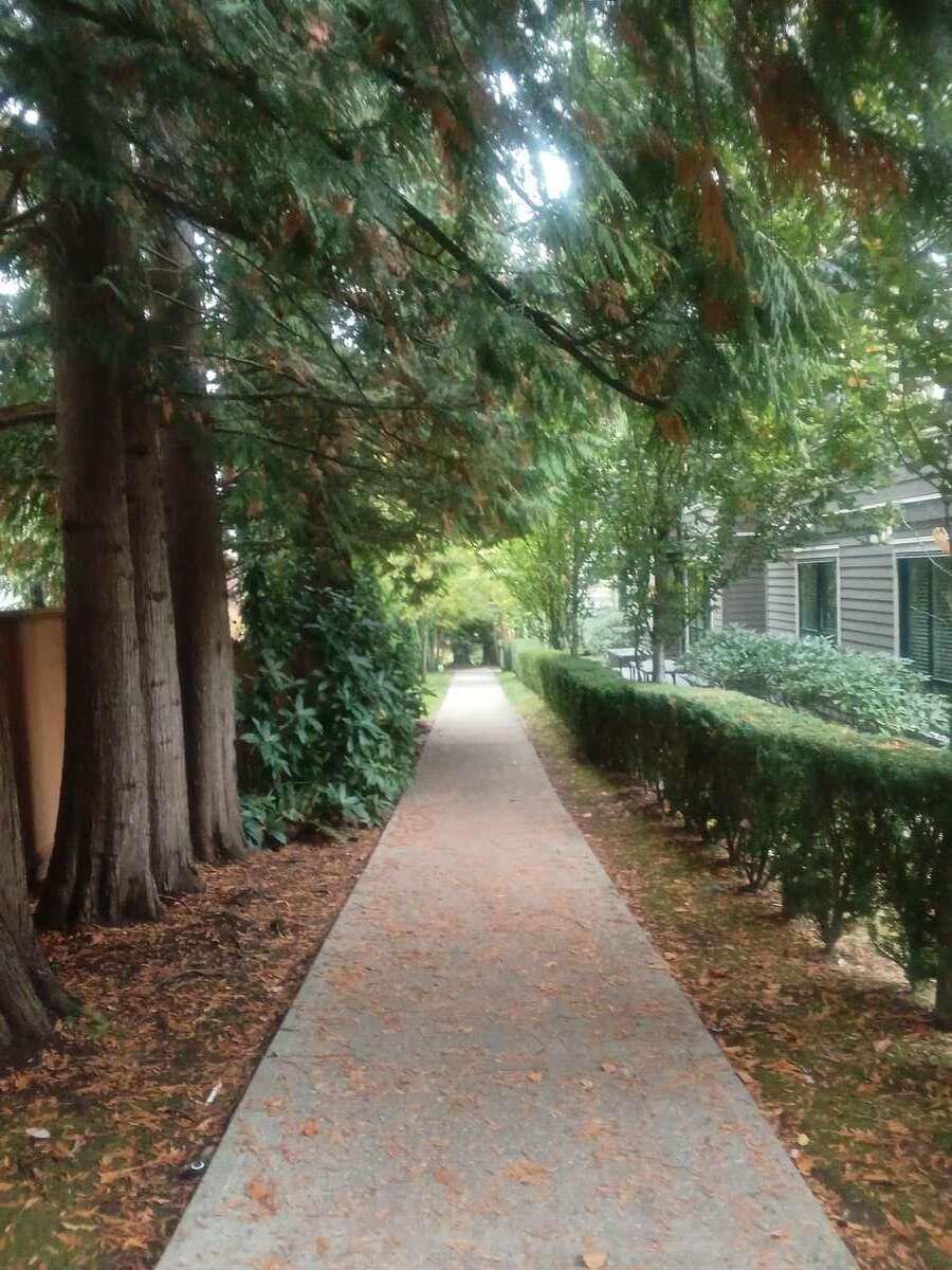 205 15388 105 Avenue, Surrey, British Columbia  V3R 0C4 - Photo 18 - R3066952