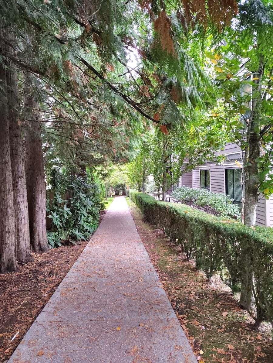 205 15388 105 Avenue, Surrey, British Columbia  V3R 0C4 - Photo 5 - R3066952