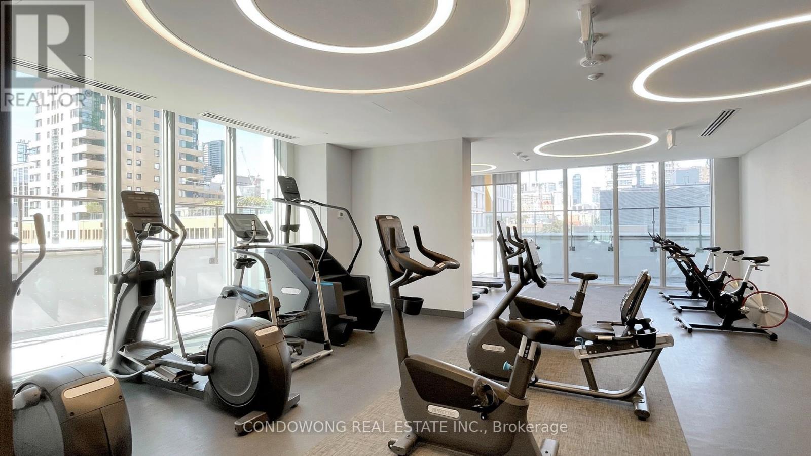 202 - 100 Dalhousie Street, Toronto, Ontario  M5B 0C7 - Photo 32 - C12539312