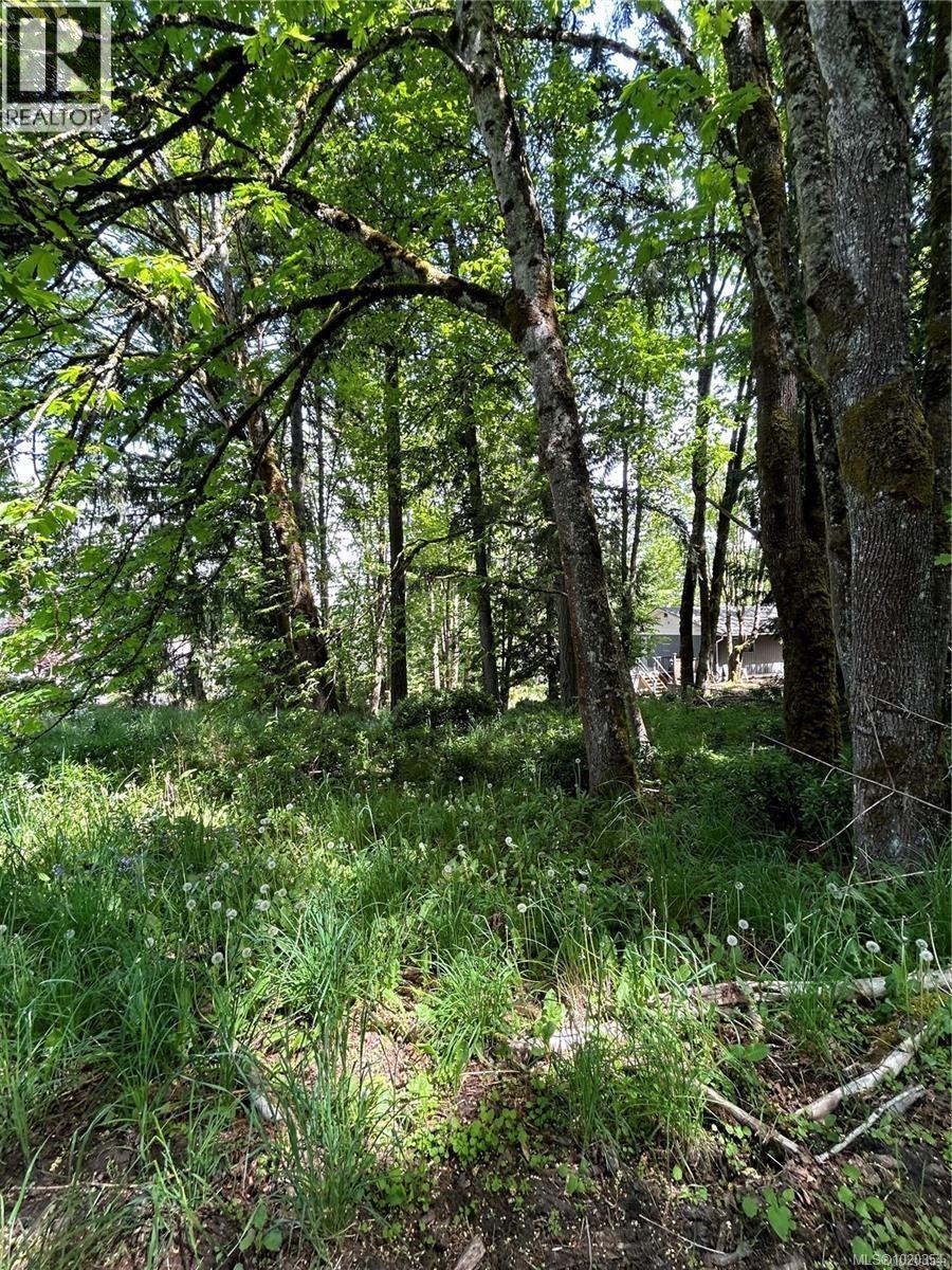 1154 2nd Ave, Ladysmith, British Columbia  V9G 1A4 - Photo 8 - 1020354