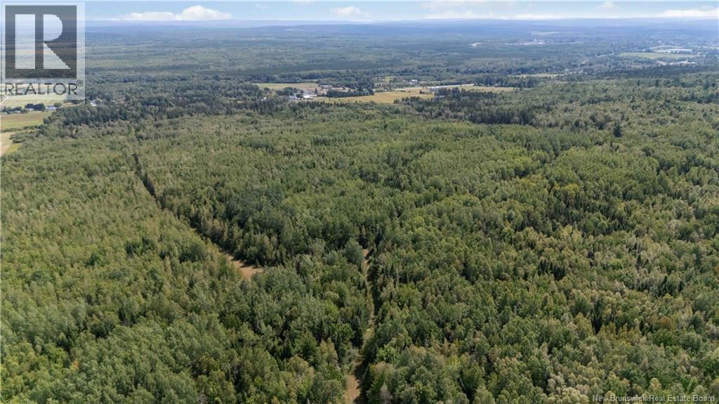 4365 Rte 106, Petitcodiac, New Brunswick  E4Z 3K2 - Photo 49 - NB125649