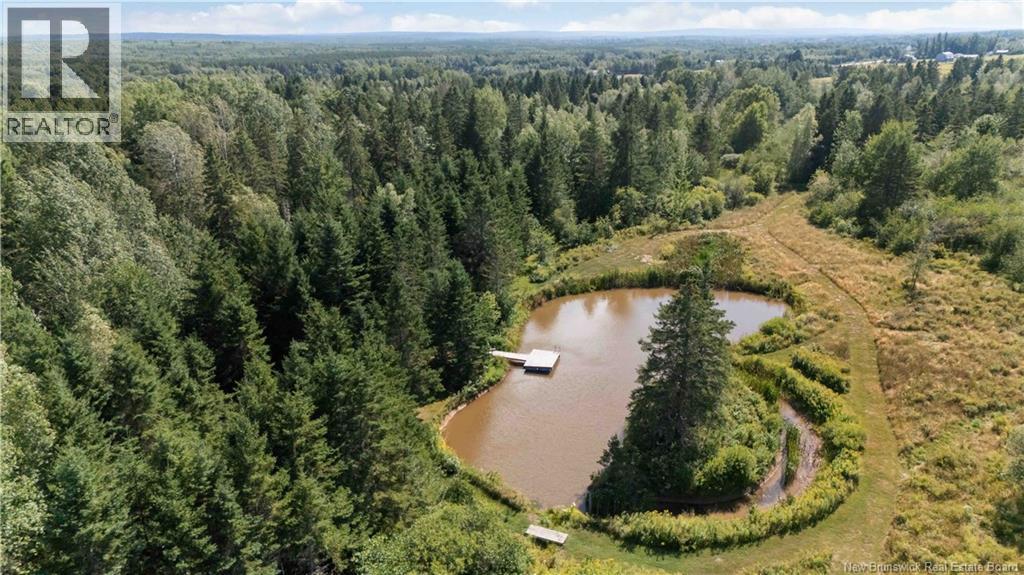 4365 Rte 106, Petitcodiac, New Brunswick  E4Z 3K2 - Photo 45 - NB125649
