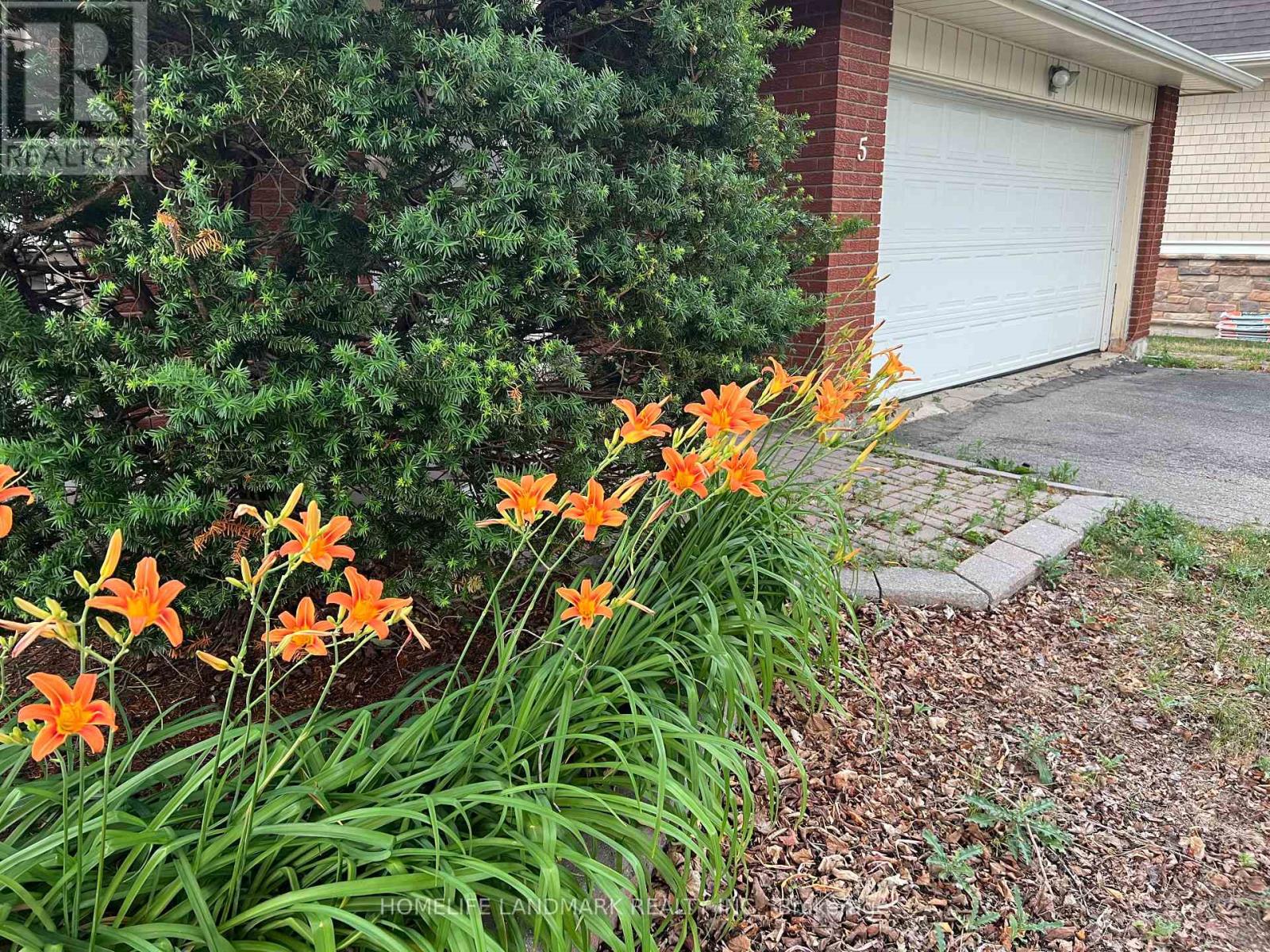 5 Chant Crescent, Markham, Ontario  L3R 1Y7 - Photo 2 - N12539460