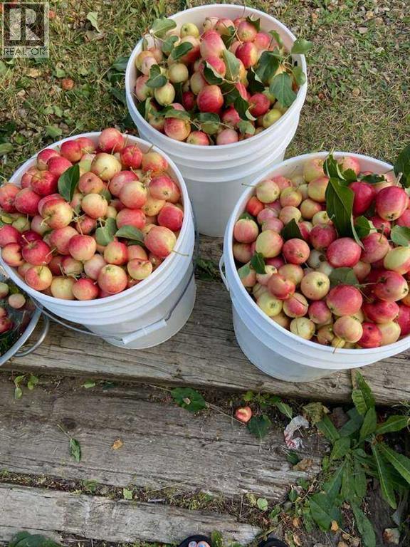 723009 Range Road 30, Rural Grande Prairie No. 1, Alberta  T0H 0G0 - Photo 21 - A2242752