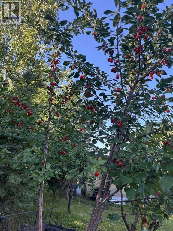 723009 Range Road 30, Rural Grande Prairie No. 1, Alberta  T0H 0G0 - Photo 25 - A2242752