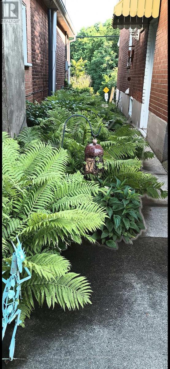 14 Grandview Street, Brantford, Ontario  N3R 1Y4 - Photo 49 - X12535660