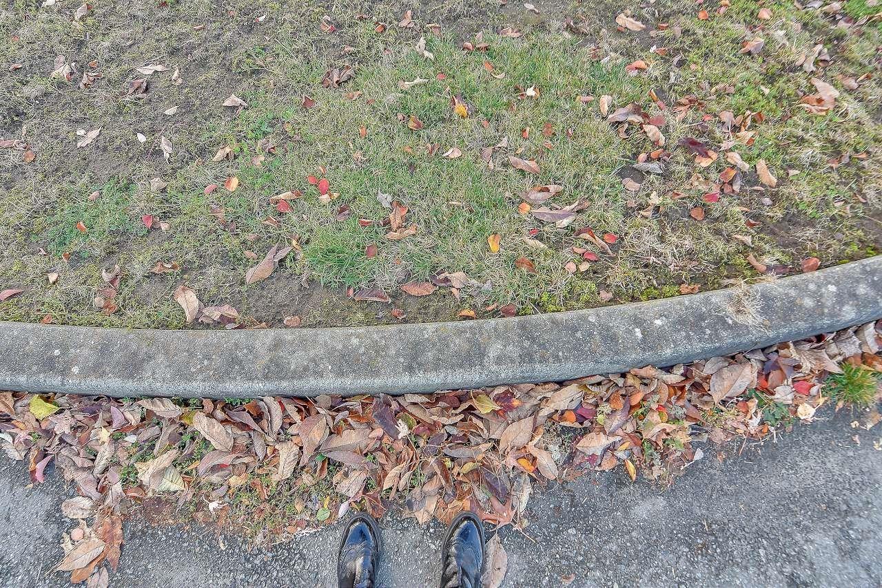 6843 192nd Street, Surrey, British Columbia  V4N 0Z6 - Photo 7 - R3067012