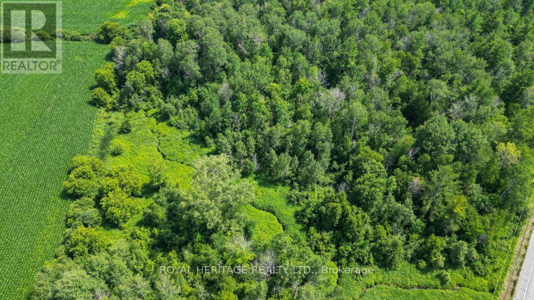 00 County Road 25, Cramahe, Ontario  K0K 1M0 - Photo 8 - X12539558