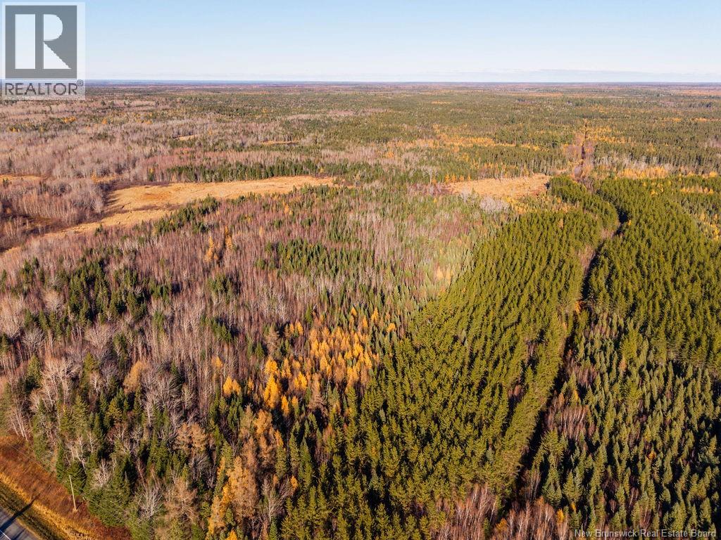 Lot- 110.9 Acres Route 11 Route, Saint Margarets, New Brunswick  E1N 5C4 - Photo 5 - NB125536