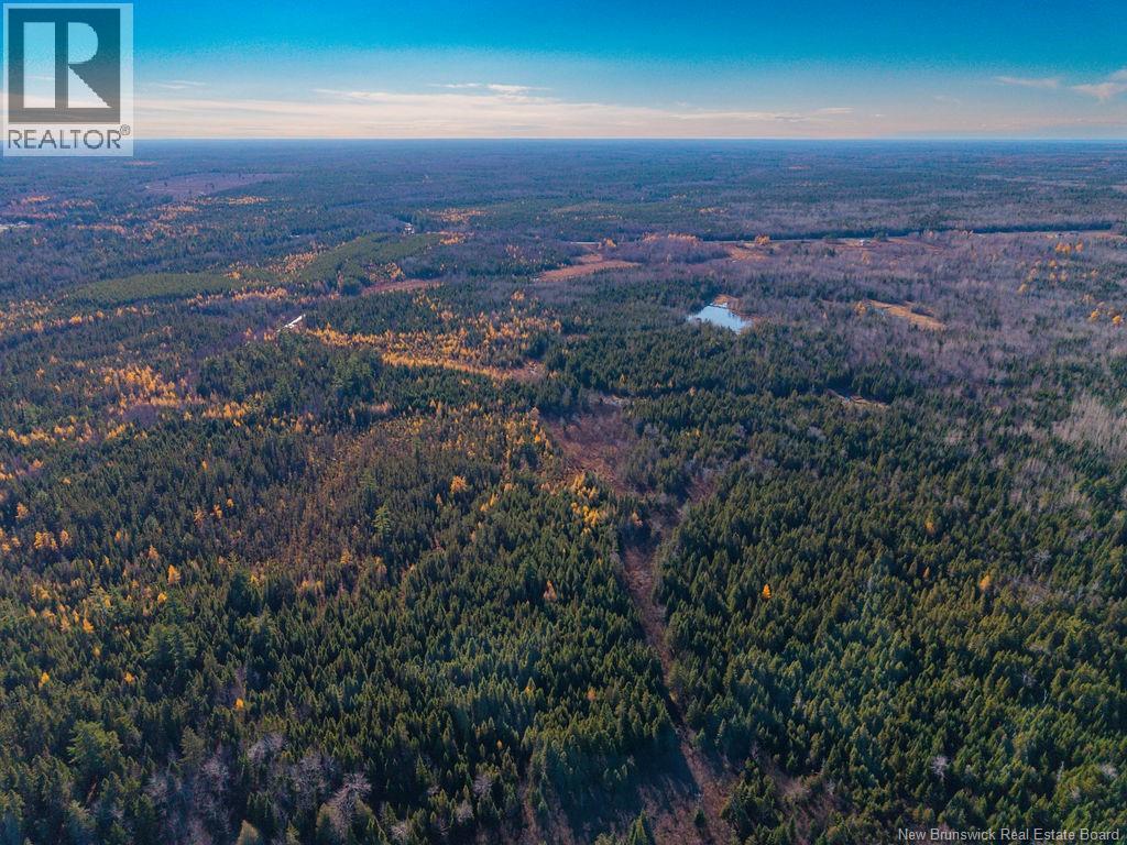 Lot- 110.9 Acres Route 11 Route, Saint Margarets, New Brunswick  E1N 5C4 - Photo 12 - NB125536