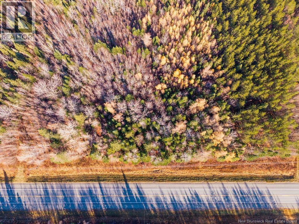 Lot- 110.9 Acres Route 11 Route, Saint Margarets, New Brunswick  E1N 5C4 - Photo 4 - NB125536